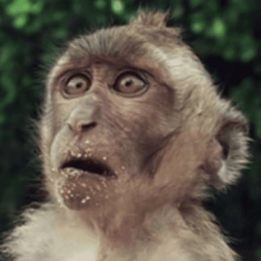 Macacos me mordam 25