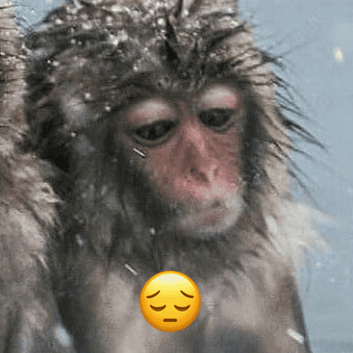 Macacos me mordam 24