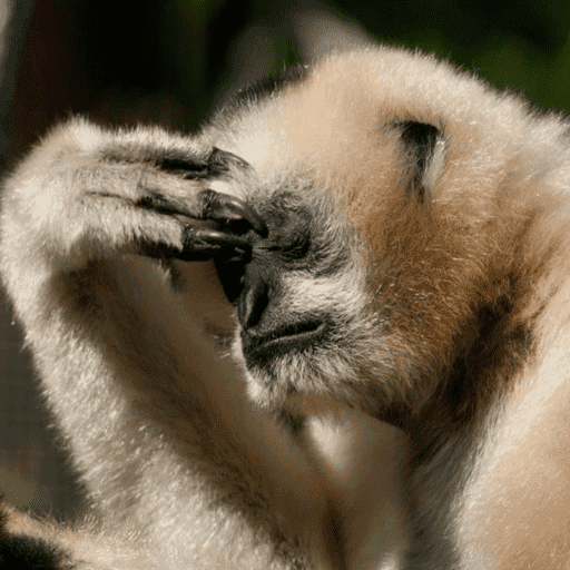 Macacos me mordam 12
