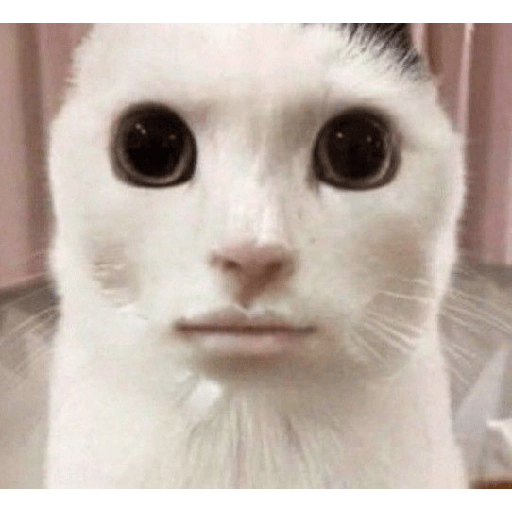 Random 13