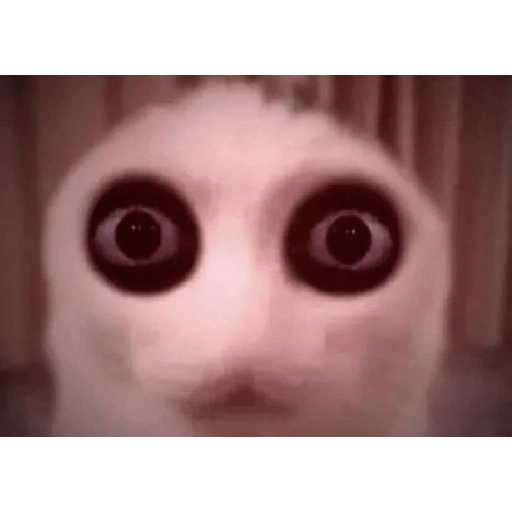 Random 16