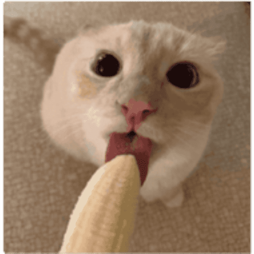 ___ 9