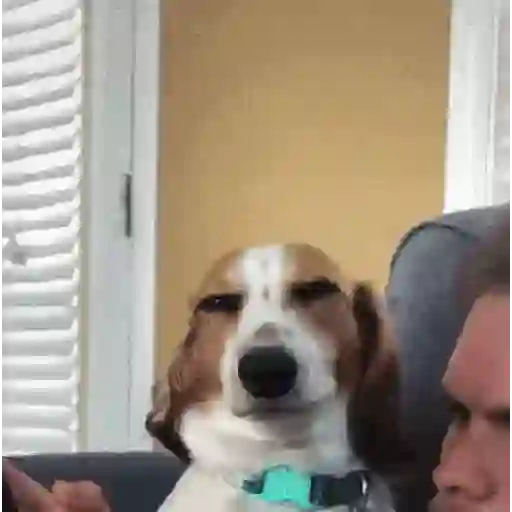Hehehe 13