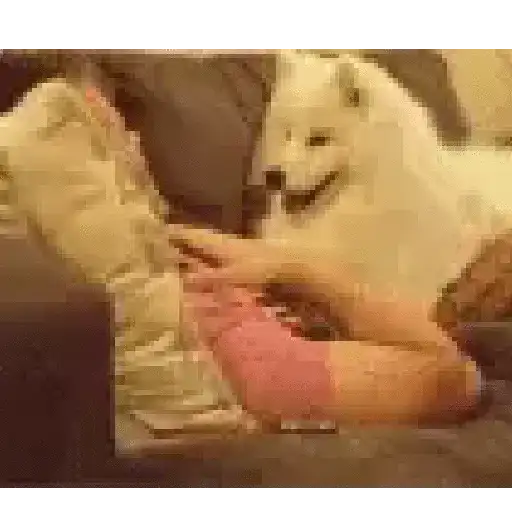 Hehehe 2