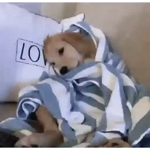 Hehehe 17