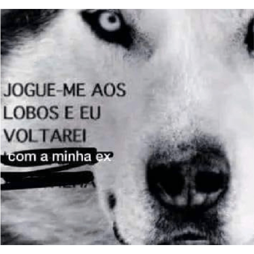 Minhas figurinhas 5