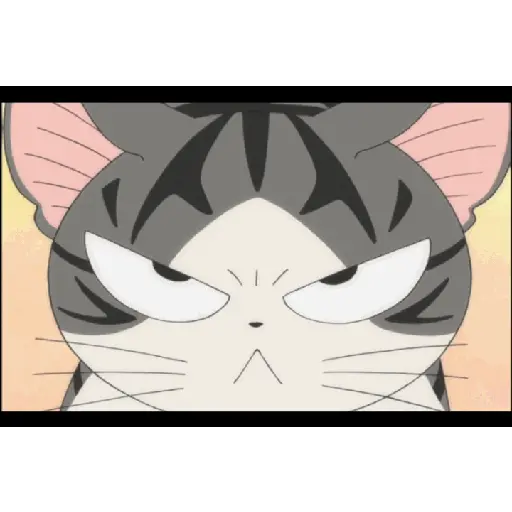 Gif cat