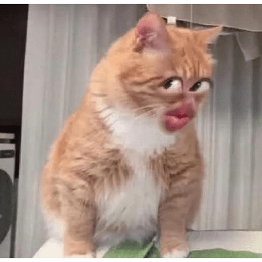Meme kelakuan random 4