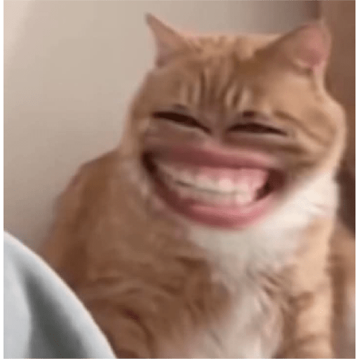 Meme kelakuan random 3