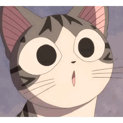 Gif cat animasi 1