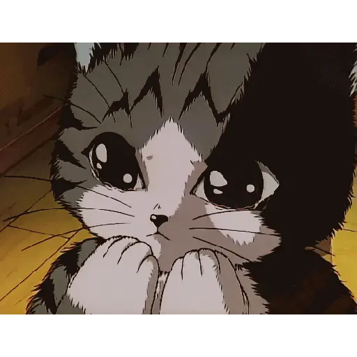 Gif cat animasi 3