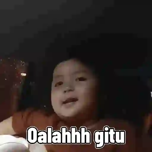 Kelakuan bayi