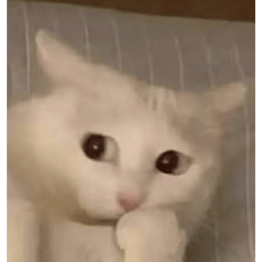 Reaction tiktok 1