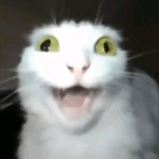 Reaction tiktok 13