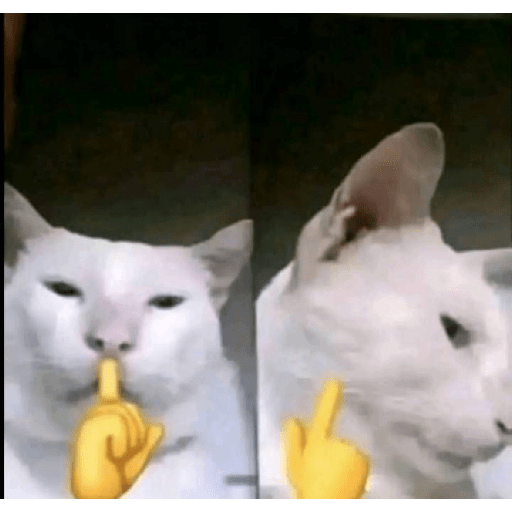 Reaction tiktok 15