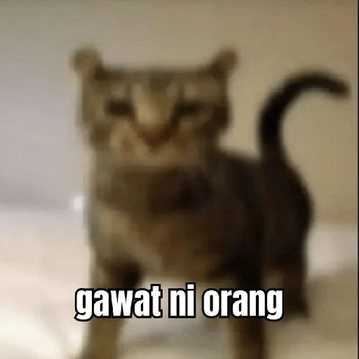 Kucing meme😹