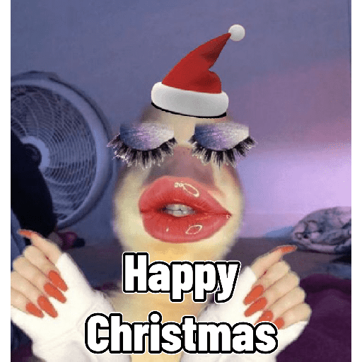 Merry Christmas 🌟