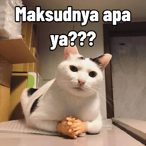 Ekspresi gelap kucing😺 20
