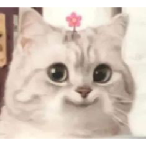 Ekspresi gelap kucing😺 3