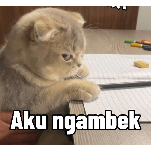 Ekspresi gelap kucing😺 4