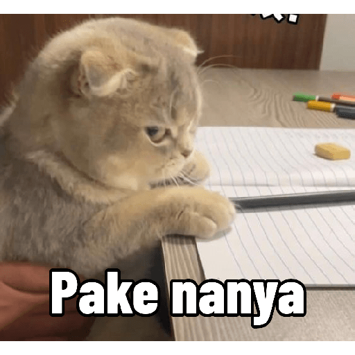 Ekspresi gelap kucing😺 5