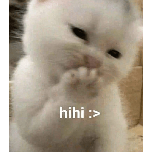 Ekspresi gelap kucing😺 8