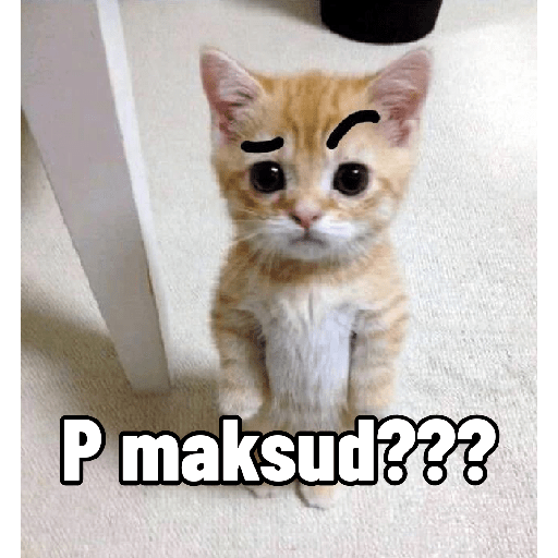 Ekspresi gelap kucing😺 9