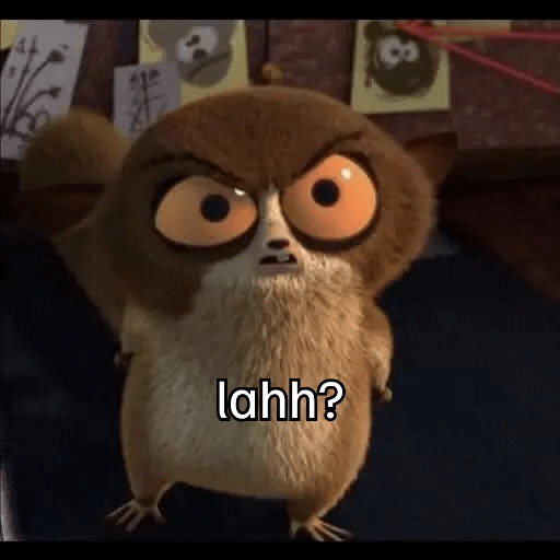 Mort madagascar 20