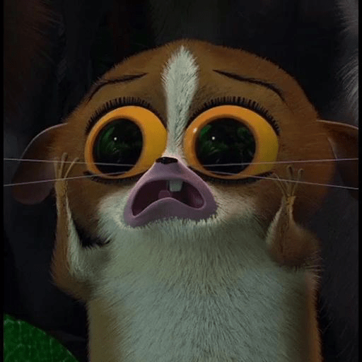 Mort madagascar 17