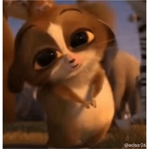 Mort madagascar 15