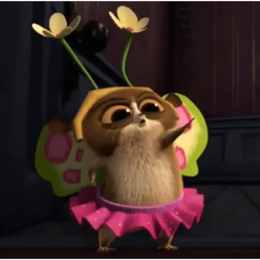 Mort madagascar 14
