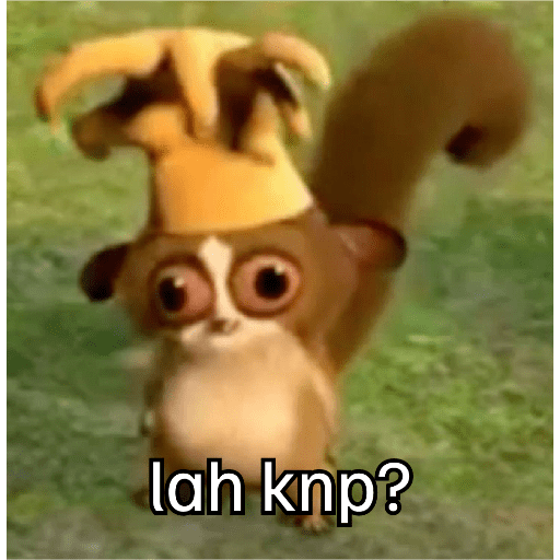 Mort madagascar 11