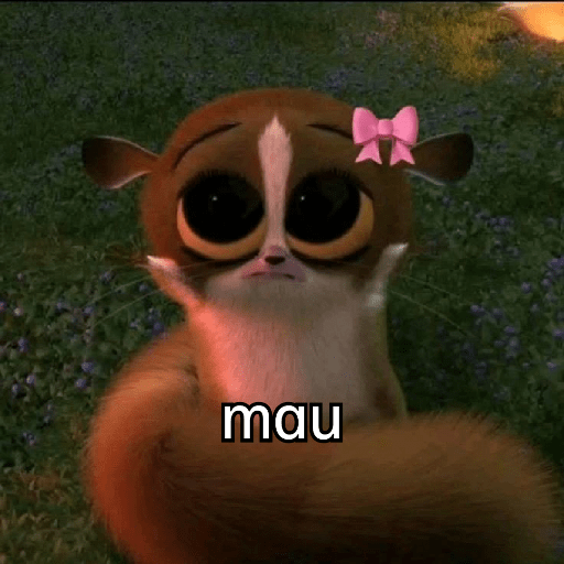 Mort madagascar 8