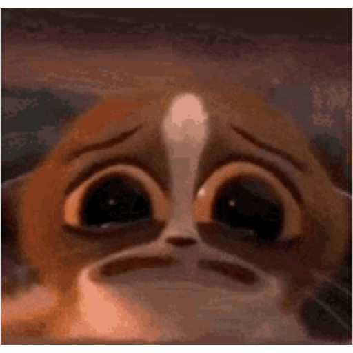 Mort madagascar 5