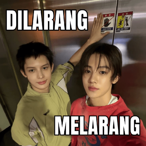 Meme cortis plenger 6
