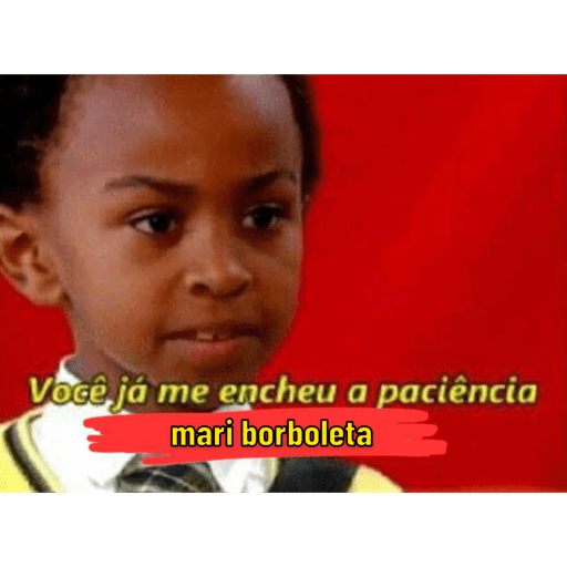 Churrasqueira eletrica 7