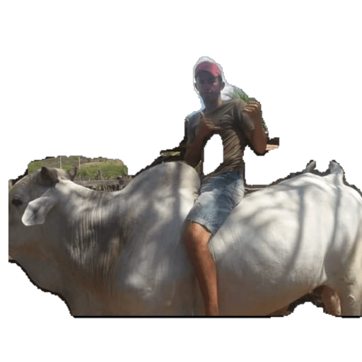 Pulitica 1