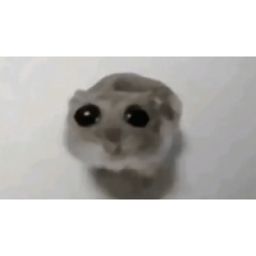 Reactions 2 4