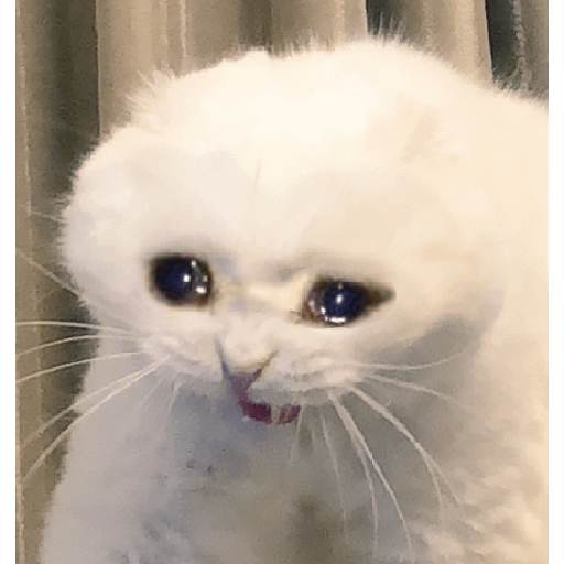 Reactions 2 5