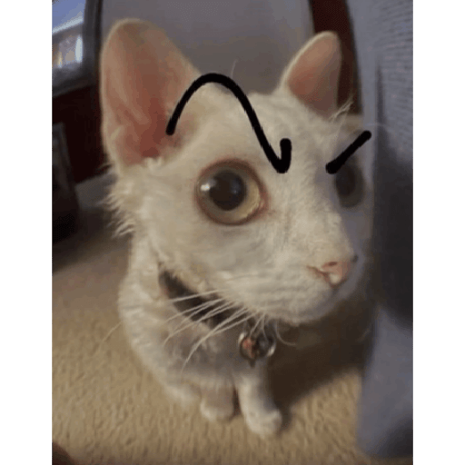 Reactions 2 8