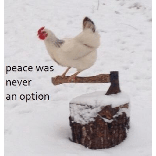 Reactions 2 9