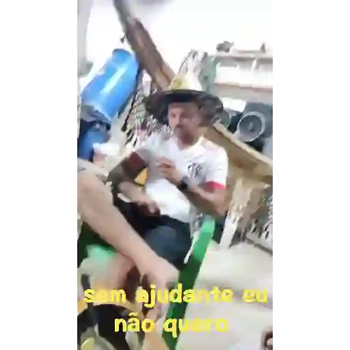 Meus 12