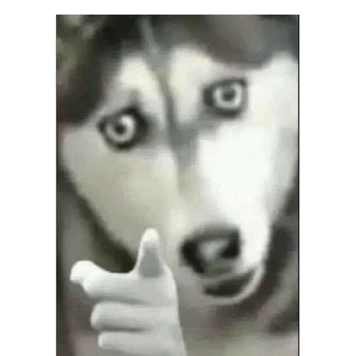Safadinha  9