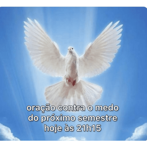 Safadinha  12