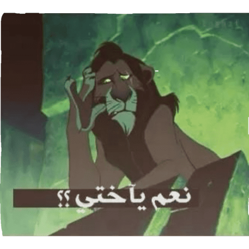 Raneem 3