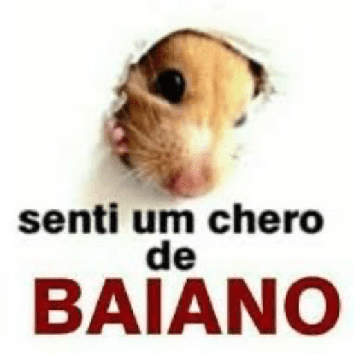 Minhas figurinhas 7