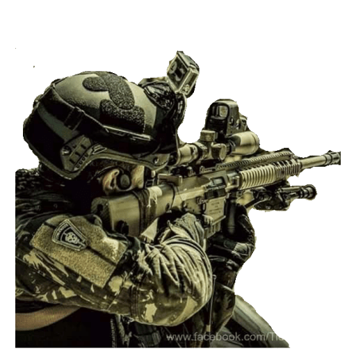 Warzone 4