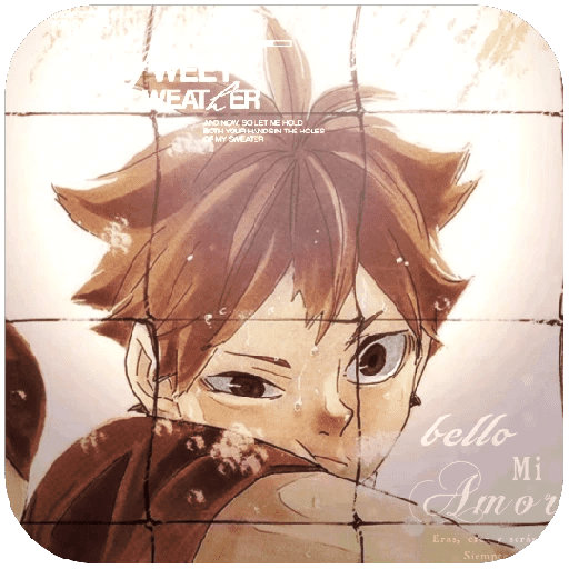 Shoyo Hinata. 13