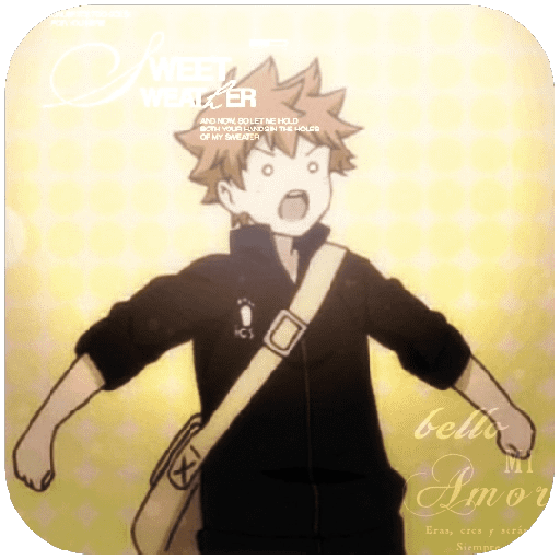 Shoyo Hinata. 15