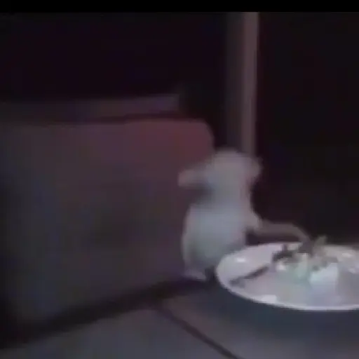 Gif☄️ 3